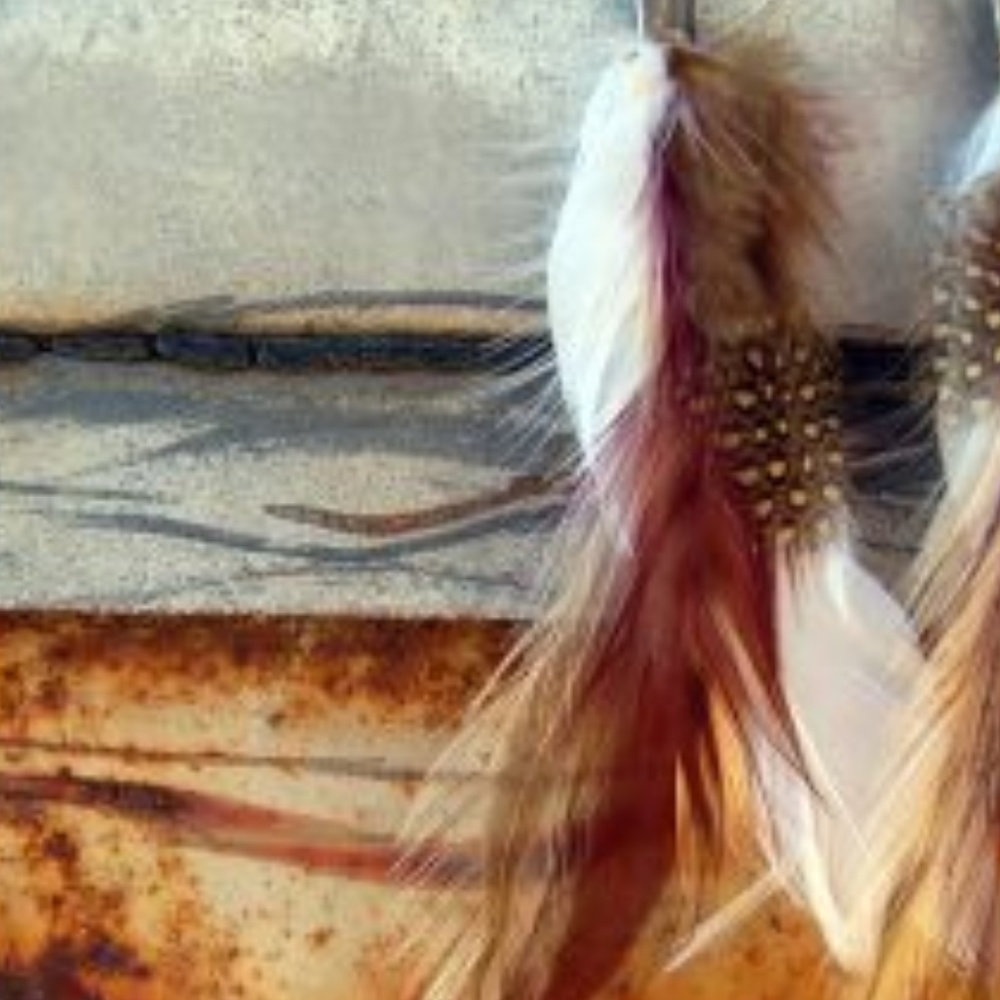 Wild in White  Feather Earrings